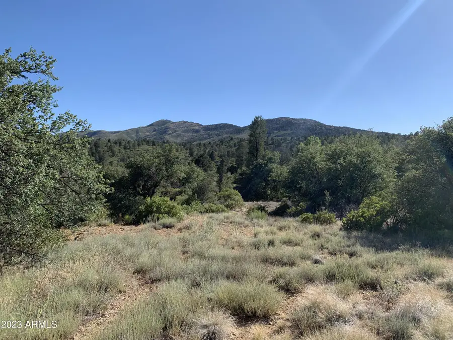 17545 W Buck Horn Drive #1, Peeples Valley, AZ 86332 - Image #3