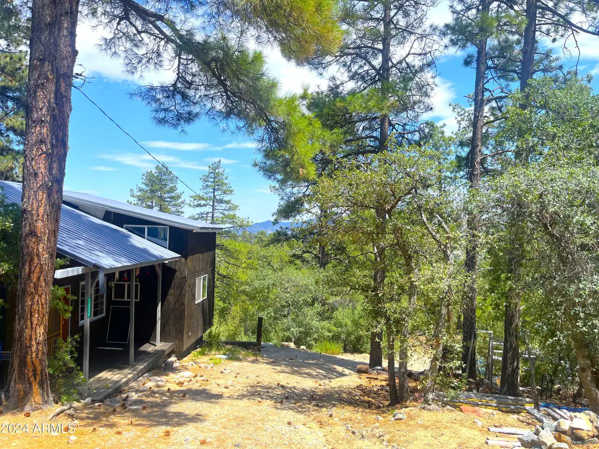 23206 S Towers Mountain Road, Crown King, AZ 86343 - #1