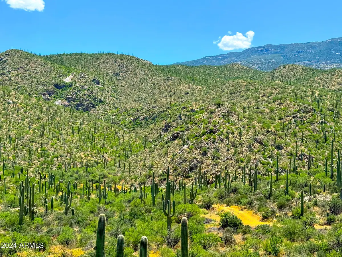 15000 E Redington Rd 13.7 Acres --, Tanque Verde, AZ 85741 - Image #1