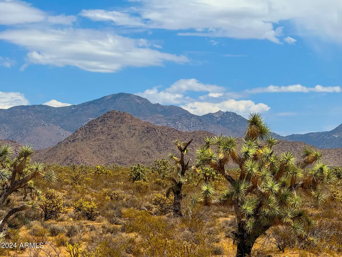 TBD Billy The Kid Rd. 80 Acres --, Lake Havasu City, AZ 86406 - Image #1