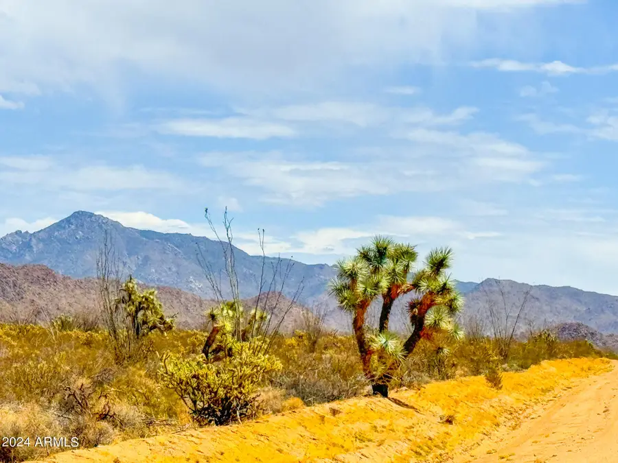 TBD Billy The Kid Rd. 80 Acres --, Lake Havasu City, AZ 86406 - Image #3