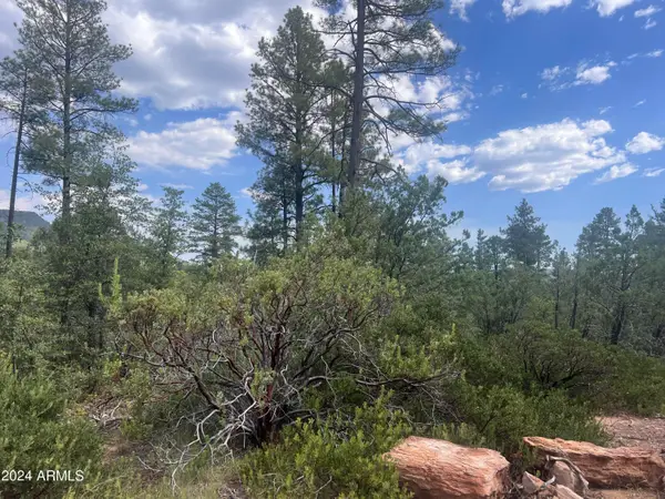 0000 N Mistletoe Lot Q -- #Q, Pine, AZ 85544