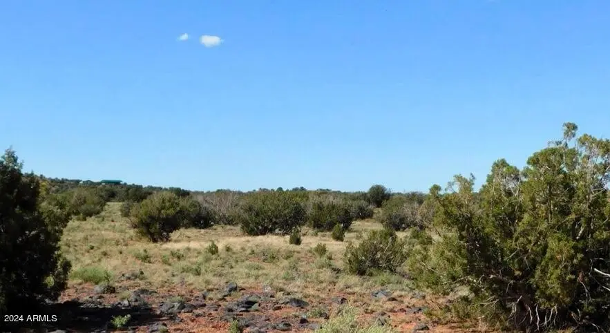 tbd 201-35-008b --, Concho, AZ 85924 - Image #2