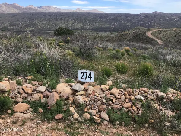 Lot 274 High Point Ranch Road #274, Willcox, AZ 85643