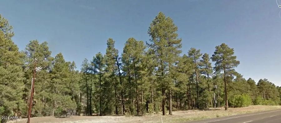 2351 S White Mountain Road, Show Low, AZ 85902 - Image #2