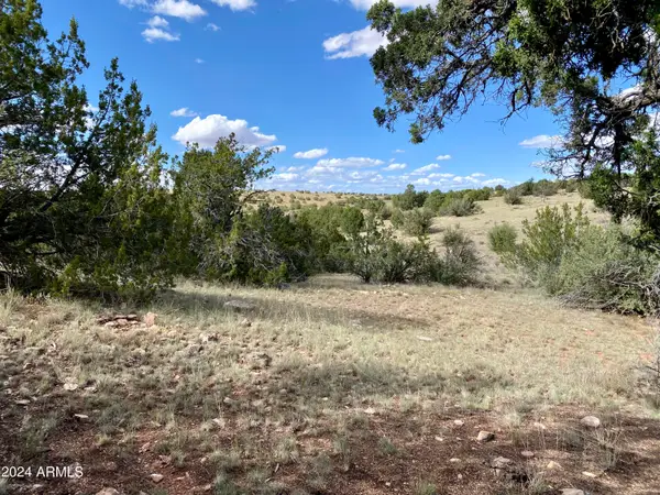 5733 W Clove Hitch Road #356, Williams, AZ 86046