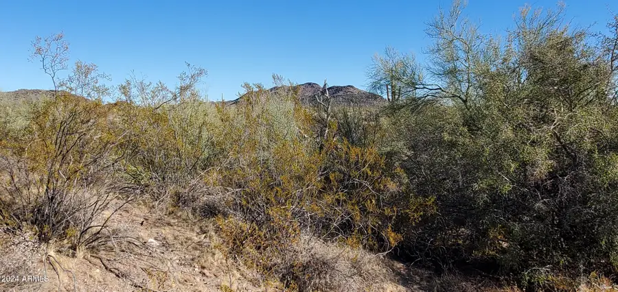 30450 W Villa Cassandra Way #237, Unincorporated County, AZ 85361 - Image #3