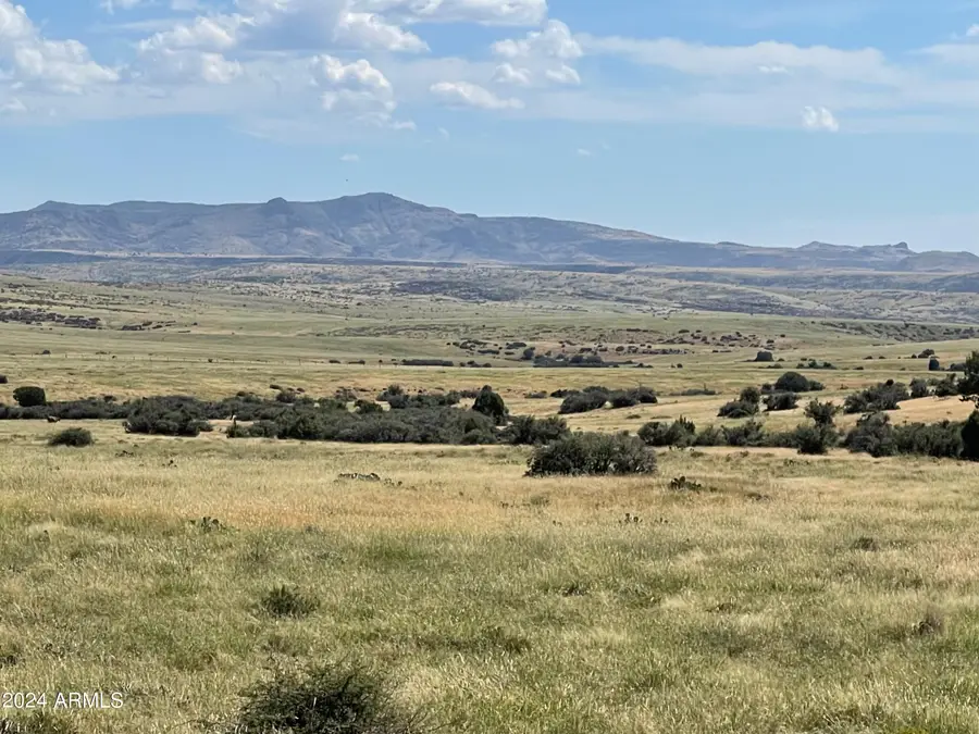 20175 E Flea Flicker Drive #121, Wikieup, AZ 85360 - Image #2