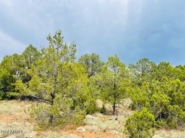 8418 Haven Crest Drive #223, Happy Jack, AZ 86024 - #2