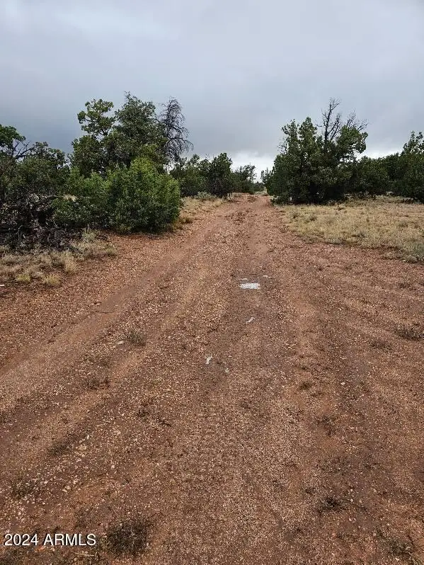 4127 N Windy Walk Way #149, Valle, AZ 86046 - Image #2