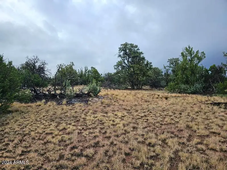 4127 N Windy Walk Way #149, Valle, AZ 86046 - Image #3