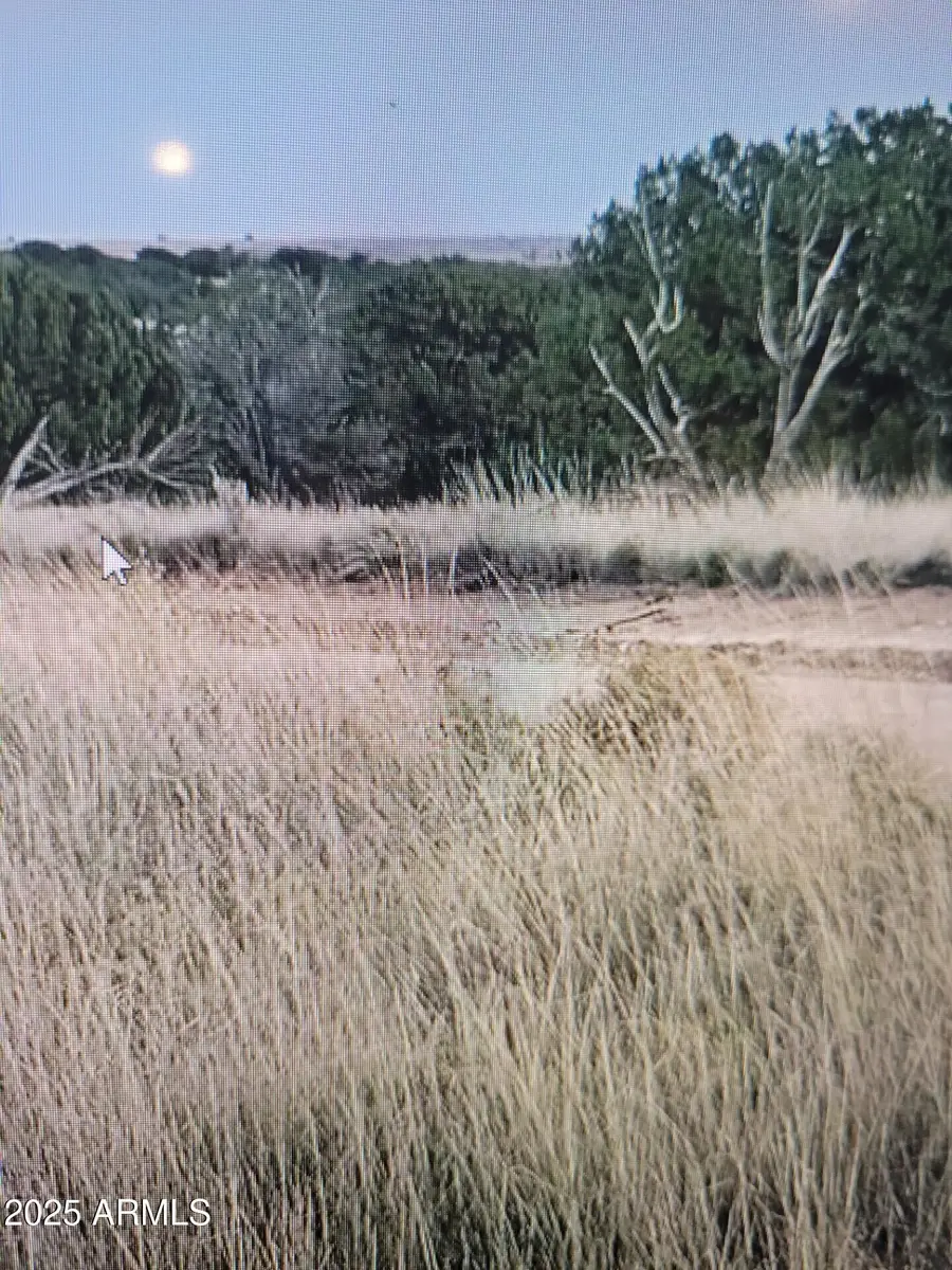 Lot 423 Chevelon Canyon #423, Heber Overgaard, AZ 85928 - Image #3