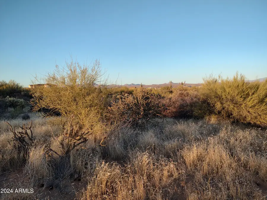 33XXX N 141st Street, Tonto National Forest, AZ 85262 - #3