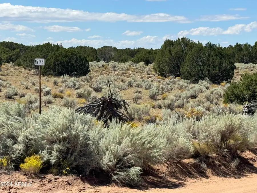 148 N Red Sky Ranch -- #148, Puerco, AZ 85936 - Image #2