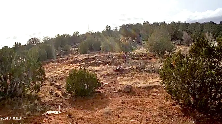 7651 Bar Ditch Road #70, Shumway, AZ 85901 - Image #2