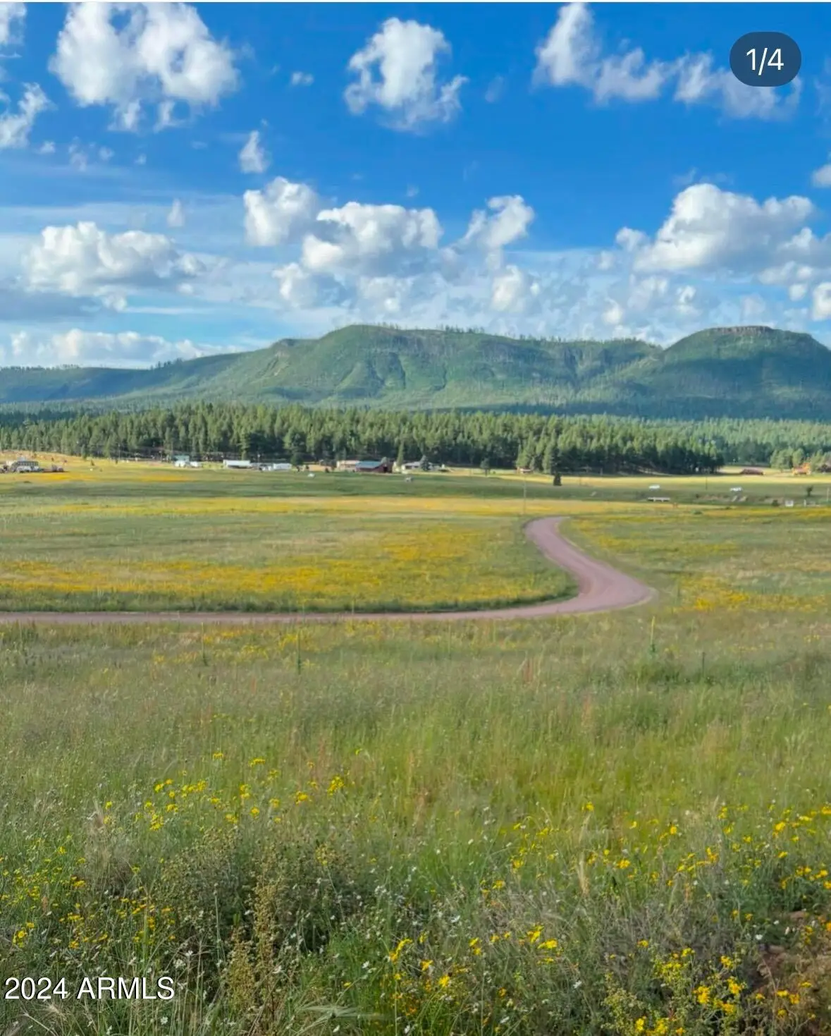 27 County Road 2330 -- #32, Eagar Springerville, AZ 85920 - Image #1