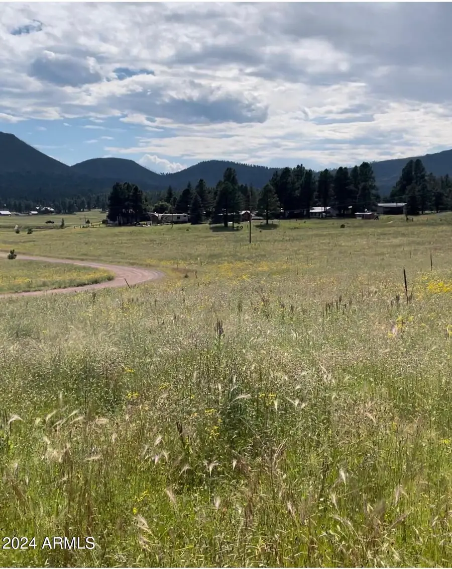 27 County Road 2330 -- #32, Eagar Springerville, AZ 85920 - Image #3