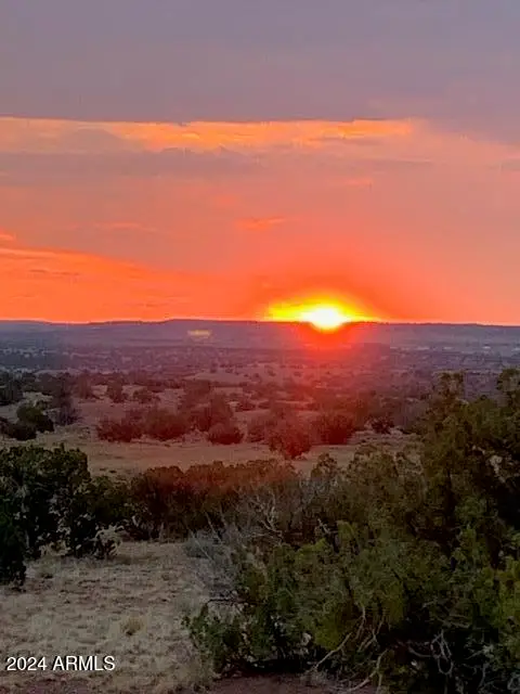 #335 River Springs Ranch -- #335, Saint Johns, AZ 85936 - Image #1