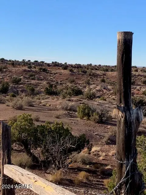 #335 River Springs Ranch -- #335, Saint Johns, AZ 85936 - Image #2