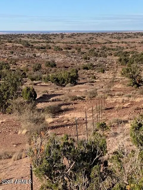 #335 River Springs Ranch -- #335, Saint Johns, AZ 85936 - Image #3