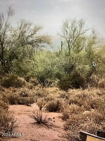 0002 E Lone Mountain Road, Tonto National Forest, AZ 85262 - Image #3