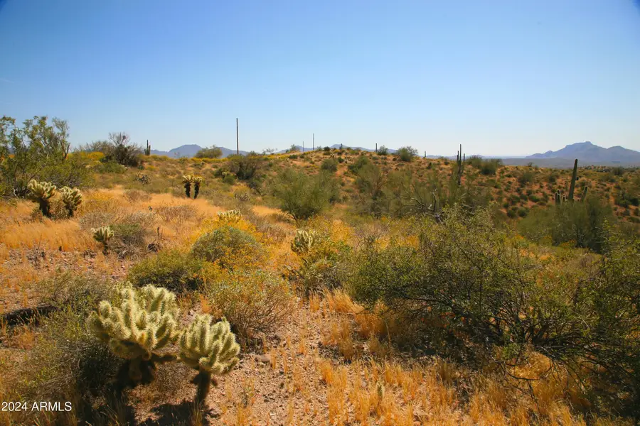 13xxx N Ambush Lane #11, Tonto National Forest, AZ 85264 - Image #3