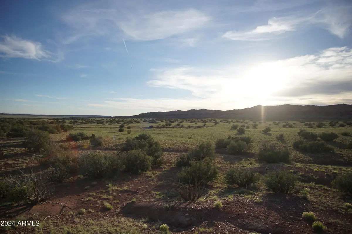 Lots 45 & 53 Woodland Valley Ranch -- #45, Saint Johns, AZ 85936 - Image #1