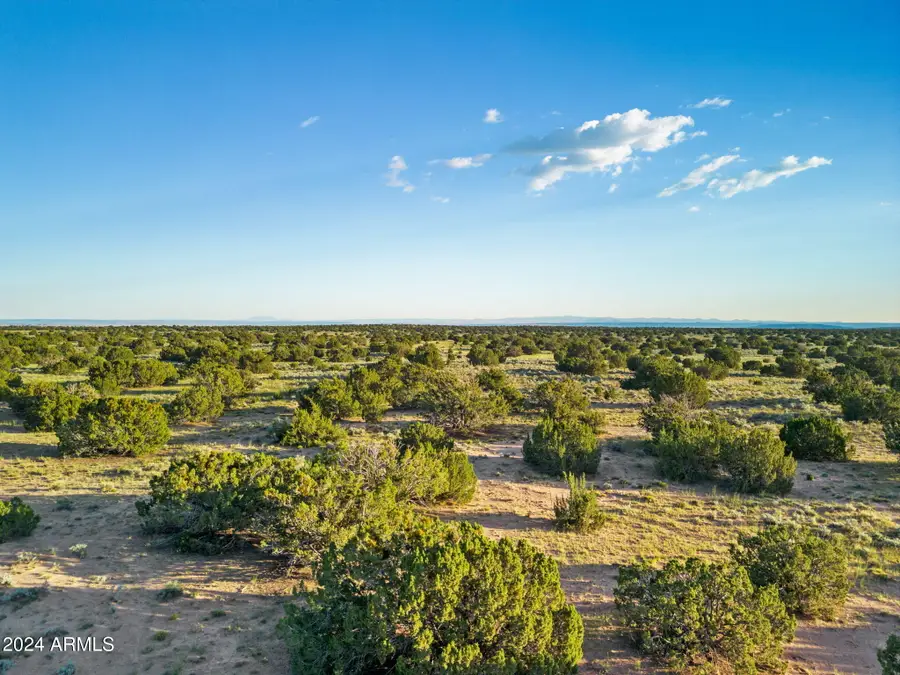 3426 Acres - Sandlot Ranch --, Puerco, AZ 85936 - Image #3