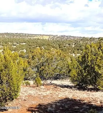5 Lots In Show Low Pines -- #75,82,239,334 & 464, Concho, AZ 85924 - Image #1