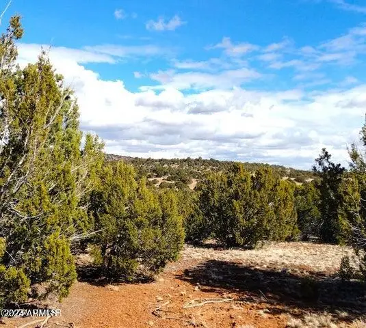 5 Lots In Show Low Pines -- #75,82,239,334 & 464, Concho, AZ 85924 - Image #2