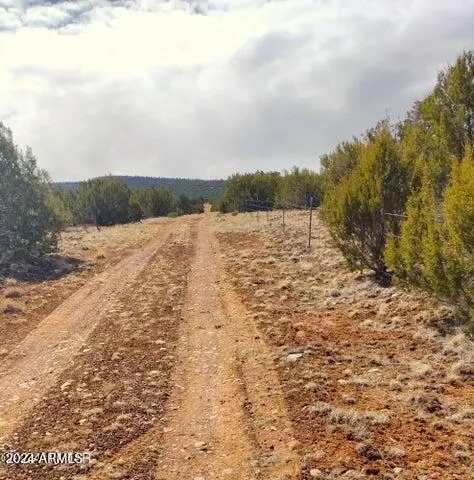 5 Lots In Show Low Pines -- #75,82,239,334 & 464, Concho, AZ 85924 - Image #3