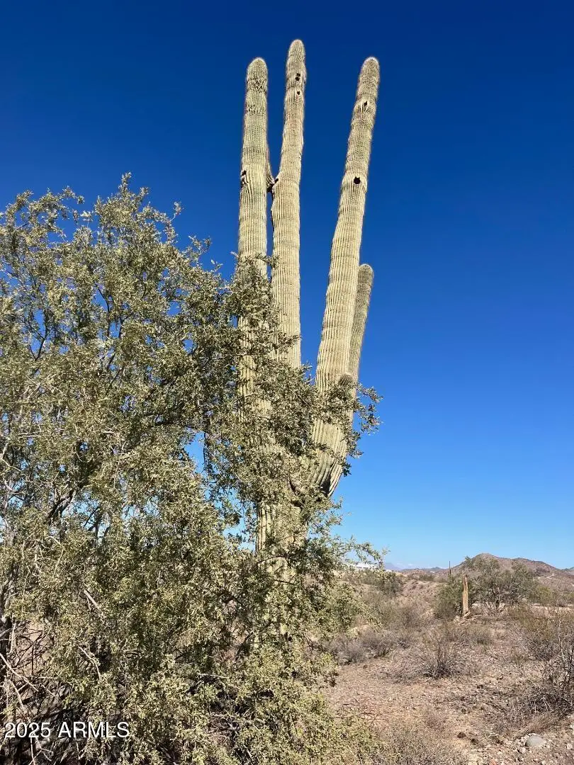 26113 N 113th Avenue, Peoria, AZ 85383 - Image #1