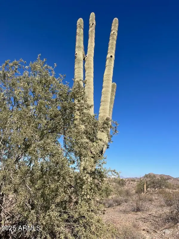 26113 N 113th Avenue, Peoria, AZ 85383