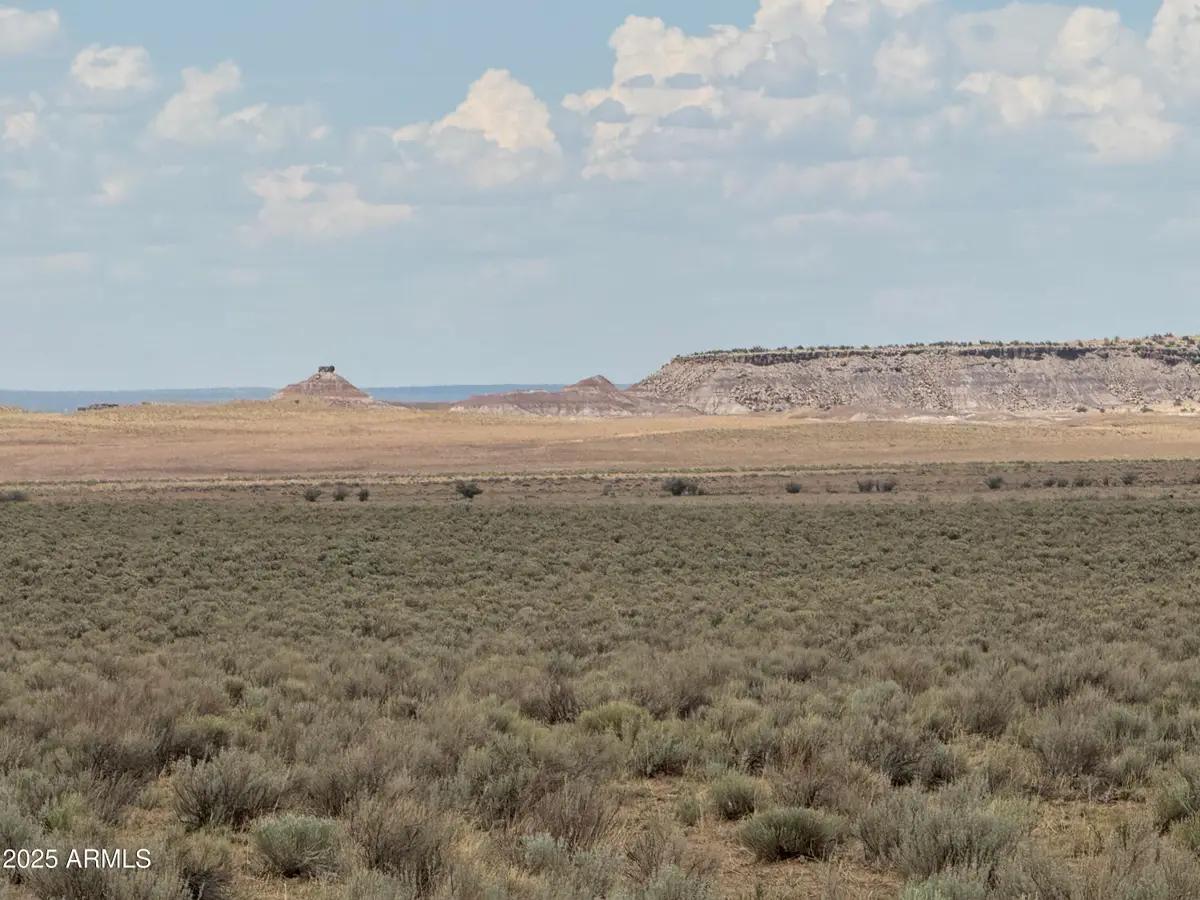 3 Lots In Carrizo Ranch -- #342, 346 & 347, Saint Johns, AZ 85936 - Image #1