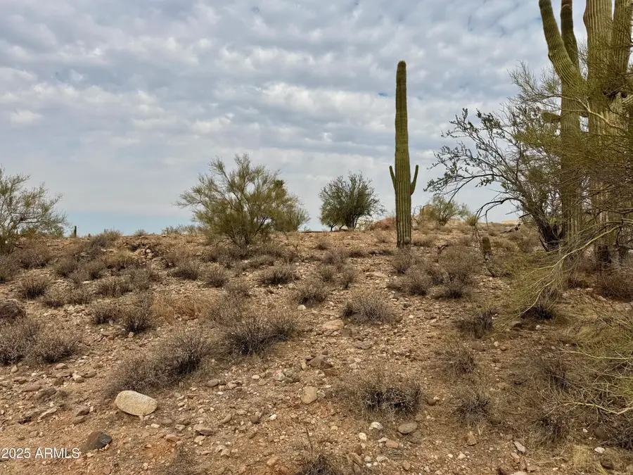 43925 N Saguaro Blossom Lane, Morristown, AZ 85342 - Image #2