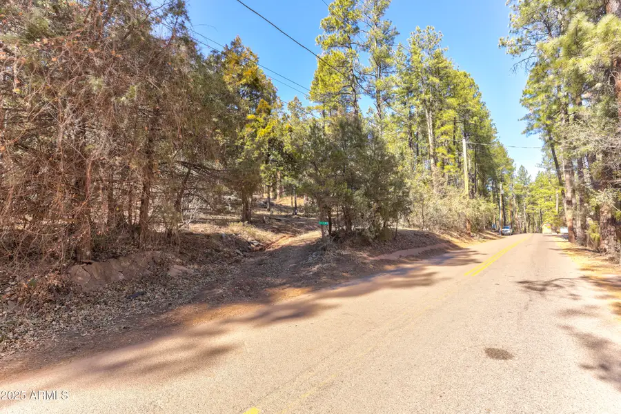 11180 N Houton Mesa Road #77, Whispering Pines, AZ 85541 - #3