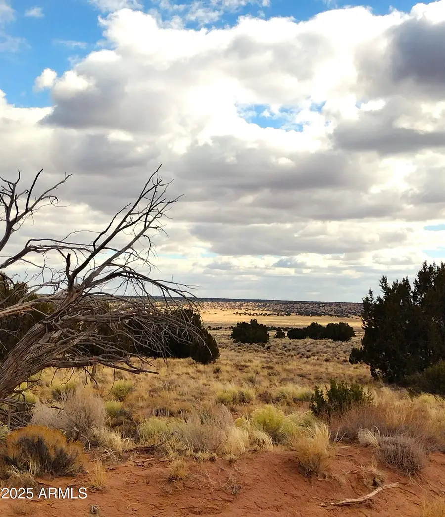 Lot 271 Red Sky Ranch -- #271, Puerco, AZ 85936 - Image #2
