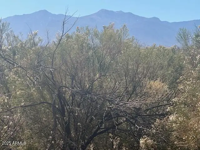 TBD E Hwy 90 -- #1, Sierra Vista, AZ 85635 - #1