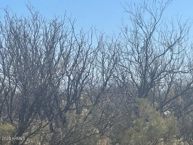 TBD E Hwy 90 -- #1, Sierra Vista, AZ 85635 - #3