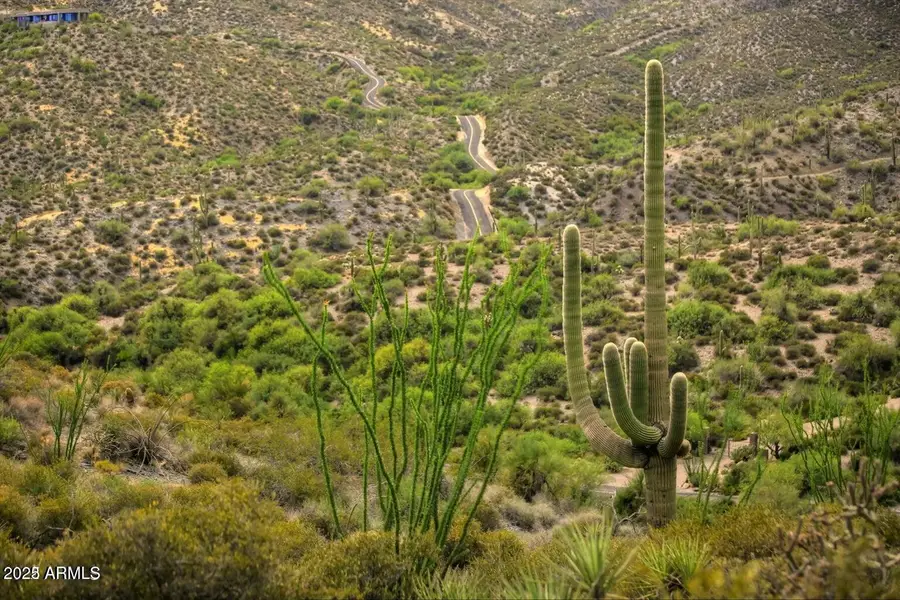 42242 N Charbray Drive #25, Scottsdale, AZ 85262 - Image #3