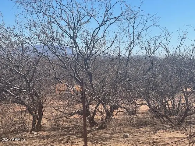 TBD 6 Ac's On Hwy 90 -- #4, Sierra Vista, AZ 85635 - #2