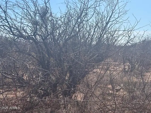 TBD 6 Ac's On Hwy 90 -- #4, Sierra Vista, AZ 85635 - #3