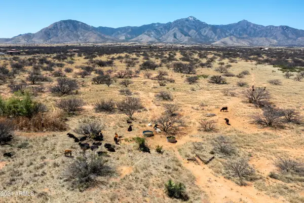 38 Acres 3 Canyons Boulevard #P, Hereford, AZ 85615