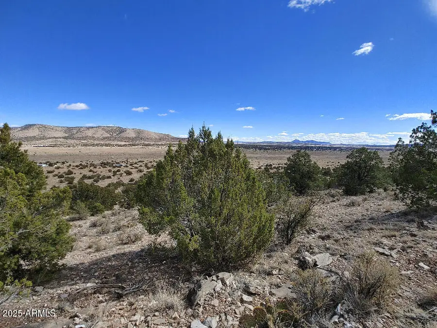 54870 N Paintbrush Lane #798, Seligman, AZ 86337 - Image #2