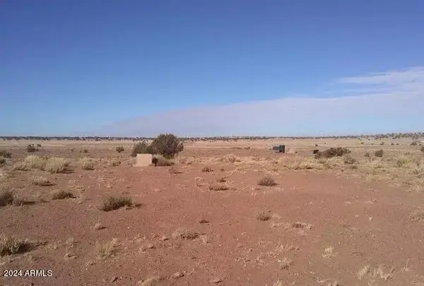 9118 Johnson S Hill Trail, Snowflake, AZ 85937