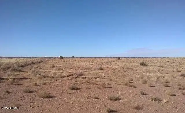 9118 Johnson S Hill Trail, Snowflake, AZ 85937 - Image #2