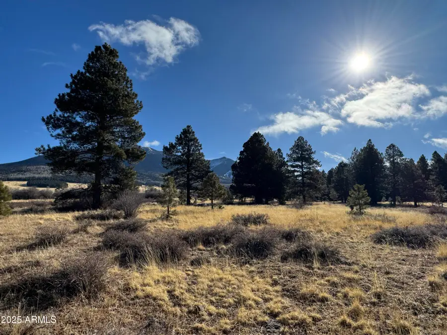 003 Hart Prairie Rd --, Flagstaff, AZ 86001 - Image #3