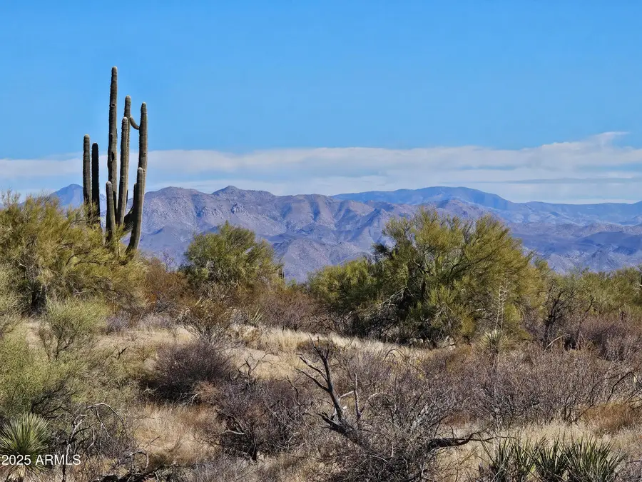 14027 E Hawknest Road, Tonto National Forest, AZ 85262 - Image #3