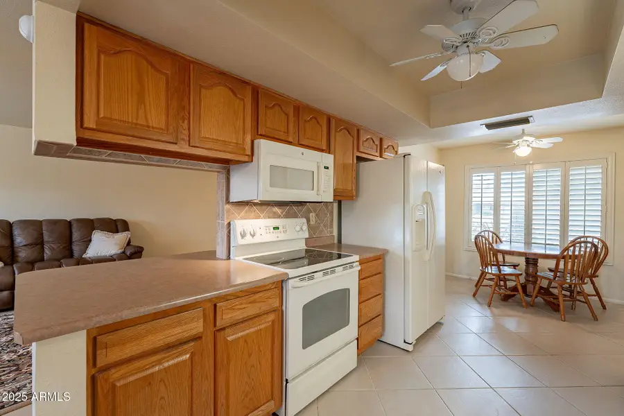 10726 W Pineaire Drive, Sun City, AZ 85351 - Image #2