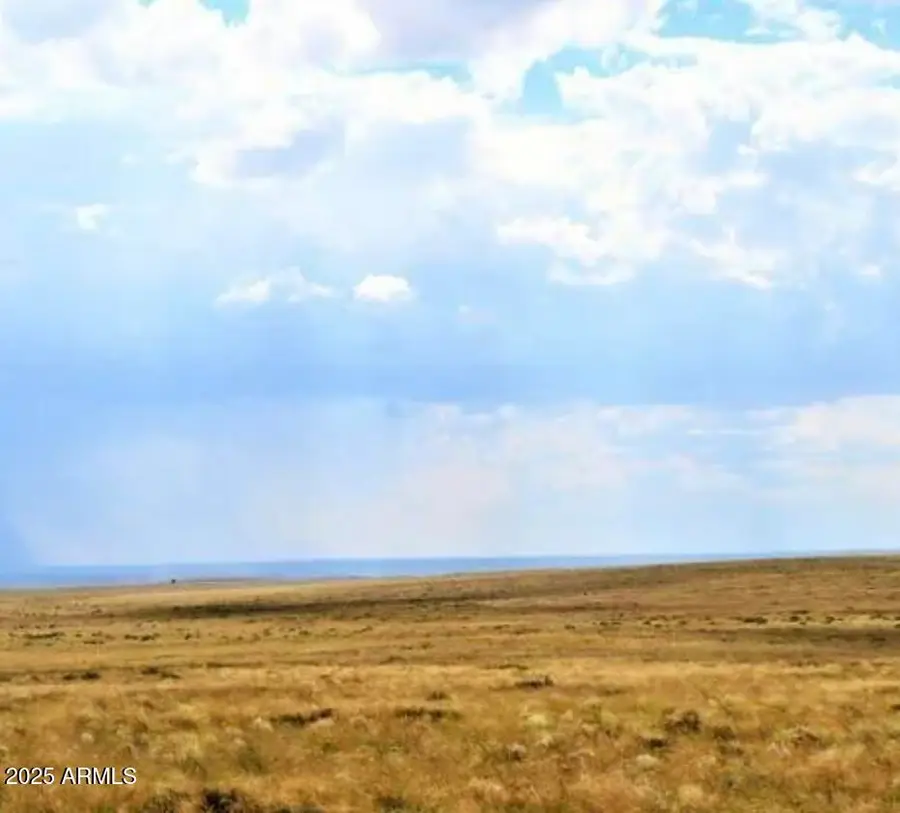 tbd 207-53-006 Bell Brand Ranches -- #6, Chambers, AZ 86502 - Image #3